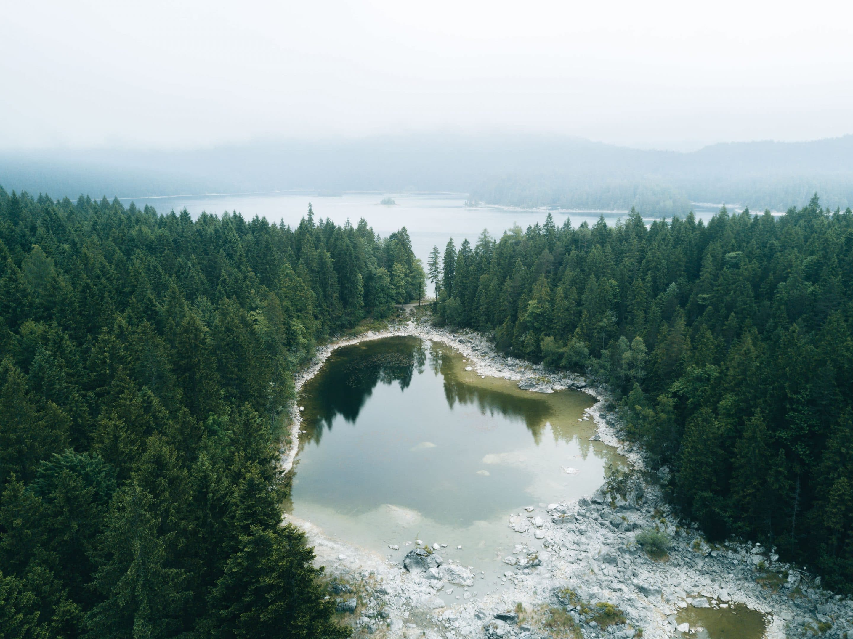 Memories from a moody morning in the forest at the stunning lake Eibsee in southern Germany and its intriguing landscape by photographer Michael Schauer